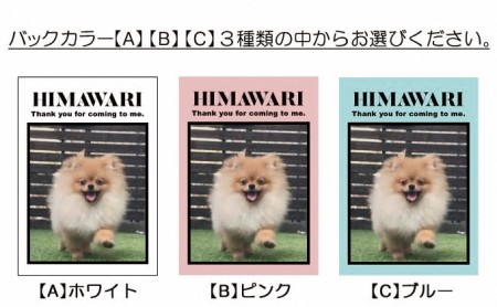 ペットの可愛いお写真をキーホルダーに♪うちの子アクリルキーホルダー（デザインB） 【C】ブルー
