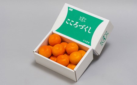 【秀品】ハウスみかん 約1.2kg 【今村農園】2026年 7月 夏 発送 甘い 果物 フルーツ ギフト 柑橘 温州 みかん 先行予約 数量限定 期間限定 九州 大分県 おすすめ ＜107-006＞
