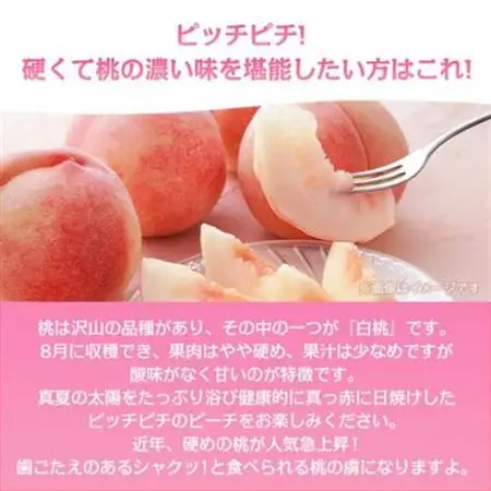 《2026年発送》桃 『白桃系』 約2kg 5～8玉 朝もぎ直送! 選び抜かれた桃【配送不可地域：離島】【1275890】