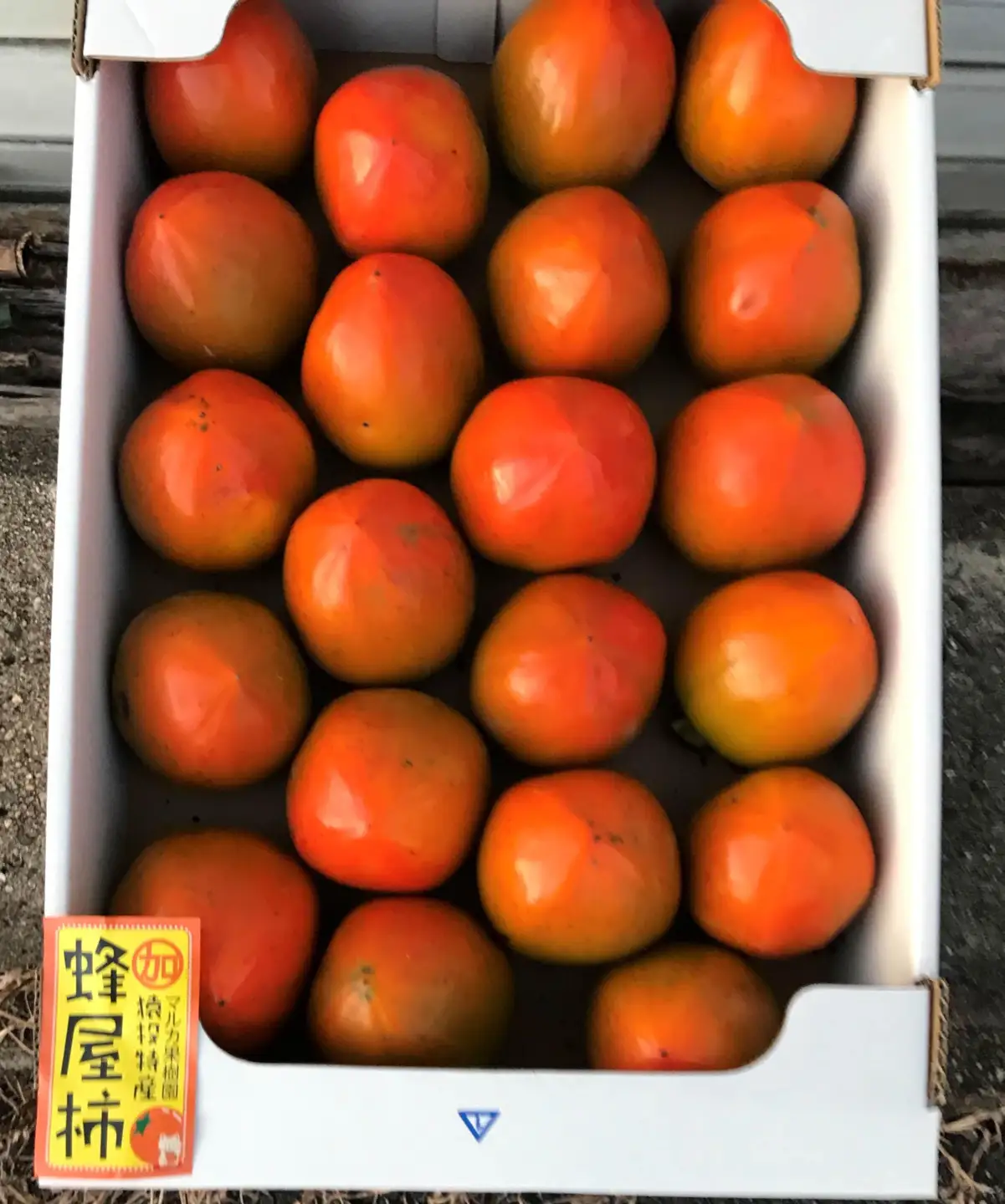 ＜先行受付＞蜂屋柿　約6kg 【2026年10月中旬以降順次発送】