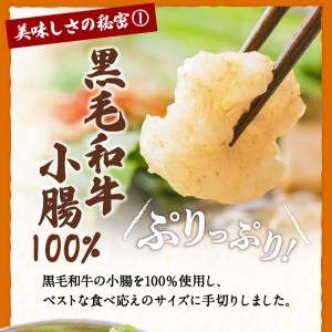 黒毛和牛もつ鍋セット2～3人前 K130-004 肉 牛肉 冷凍