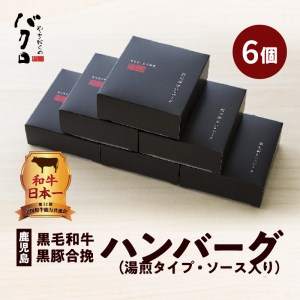 鹿児島黒毛和牛×鹿児島黒豚合挽ハンバーグ（湯煎タイプ・ソース入り）6個 K130-007 肉 豚肉 牛肉 惣菜 総菜 冷凍