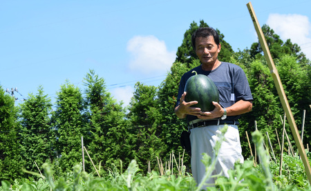 抜群の甘さ! スイカ 1玉 大玉 (6kg以上) 甘い 高糖度 西瓜 すいか 種なし 黒玉 産地直送