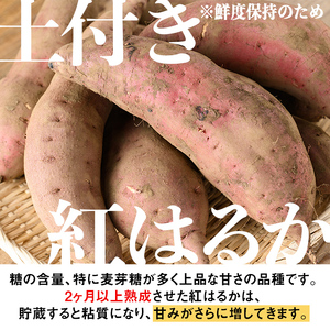 isa425 《訳あり》熟成紅はるか(約5kg・2L～3Lサイズ混合) 訳あり さつまいも 紅はるか 鹿児島 生芋 完熟 長期熟成 土付き べにはるか サツマイモ 焼き芋に 【いさ工房】