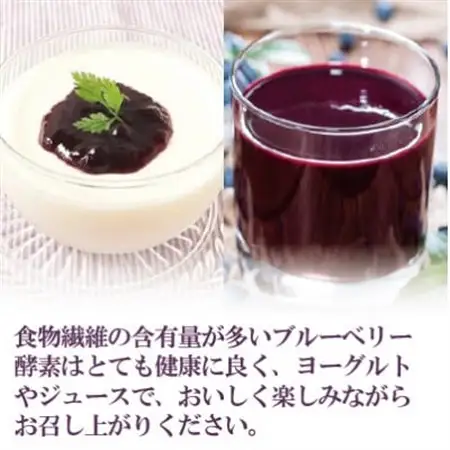 まるごとブルーベリー酵素_惣菜・加工品 果物 缶詰・瓶詰 _【配送不可地域：離島】【1393176】