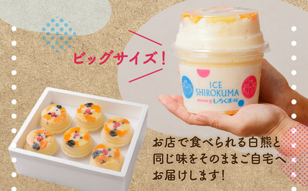 アイス 本家 白熊 6個 セット 【 天文館むじゃき 白くま 】 K009-001 冷凍