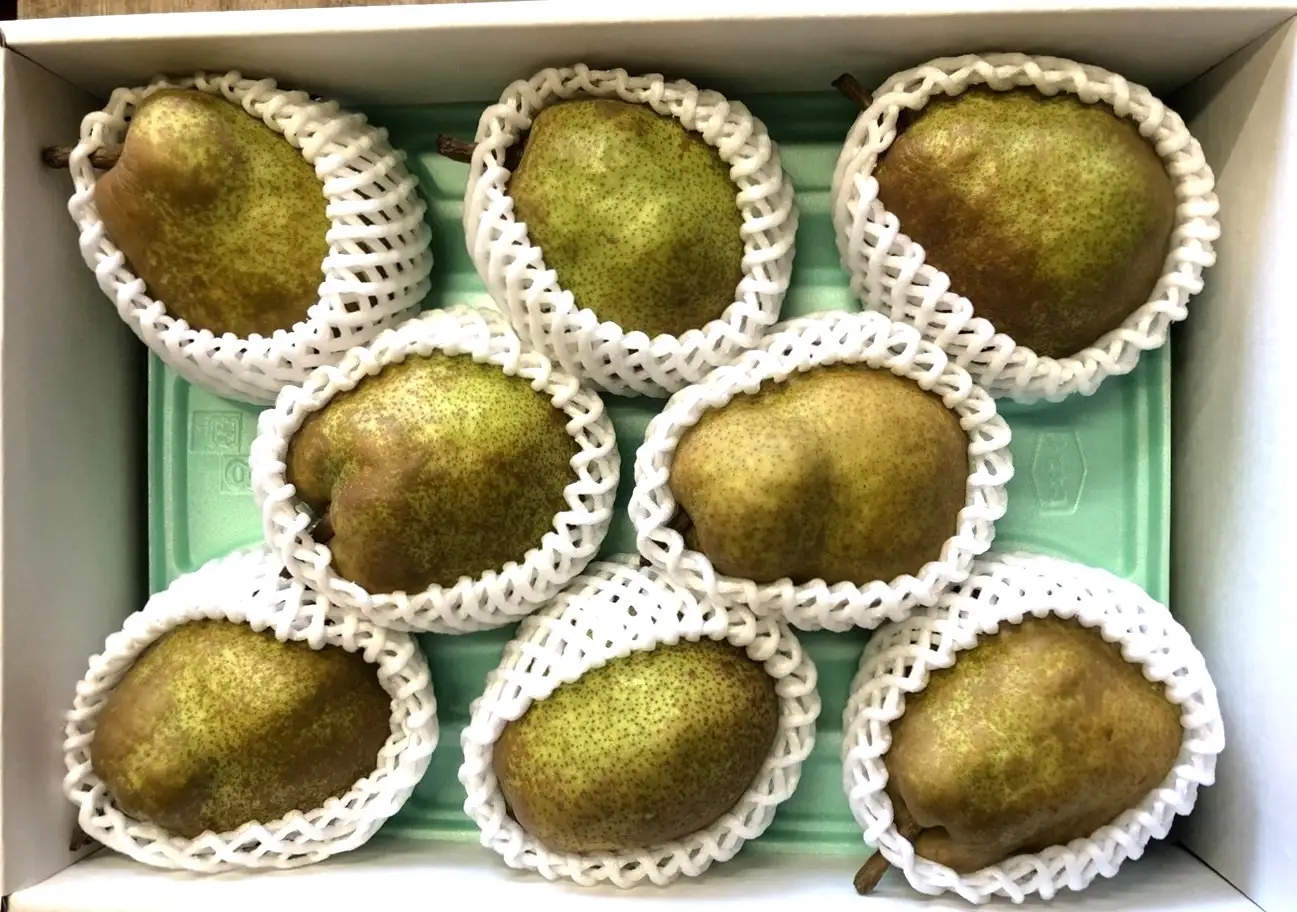 西洋梨（ラ・フランス）３ｋｇ　ご家庭用　0137-2601