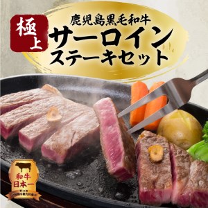 【5営業日以内に発送】鹿児島黒毛和牛の極上サーロインステーキセット 500g K134-003 肉 牛肉 冷凍 スピード配送 最短 すぐ届く お急ぎ