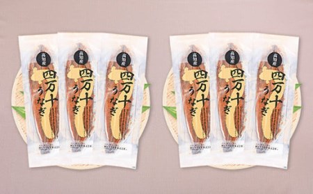 〈鰻大好き定期便〉四万十うなぎ蒲焼き≪大≫（160g x 6本）12カ月セット／ うなぎ うなぎ蒲焼 高知うなぎ 国産うなぎ うな重 鰻 国産鰻 高知鰻 冷凍鰻 鰻蒲焼 四万十うなぎ 土用の丑の日