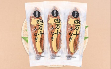 〈鰻大好き定期便〉四万十うなぎ蒲焼き≪大≫（160g x 3本）6カ月セット／ うなぎ うなぎ蒲焼 高知うなぎ 国産うなぎ うな重 鰻 国産鰻 高知鰻 冷凍鰻 鰻蒲焼 四万十うなぎ 土用の丑の日