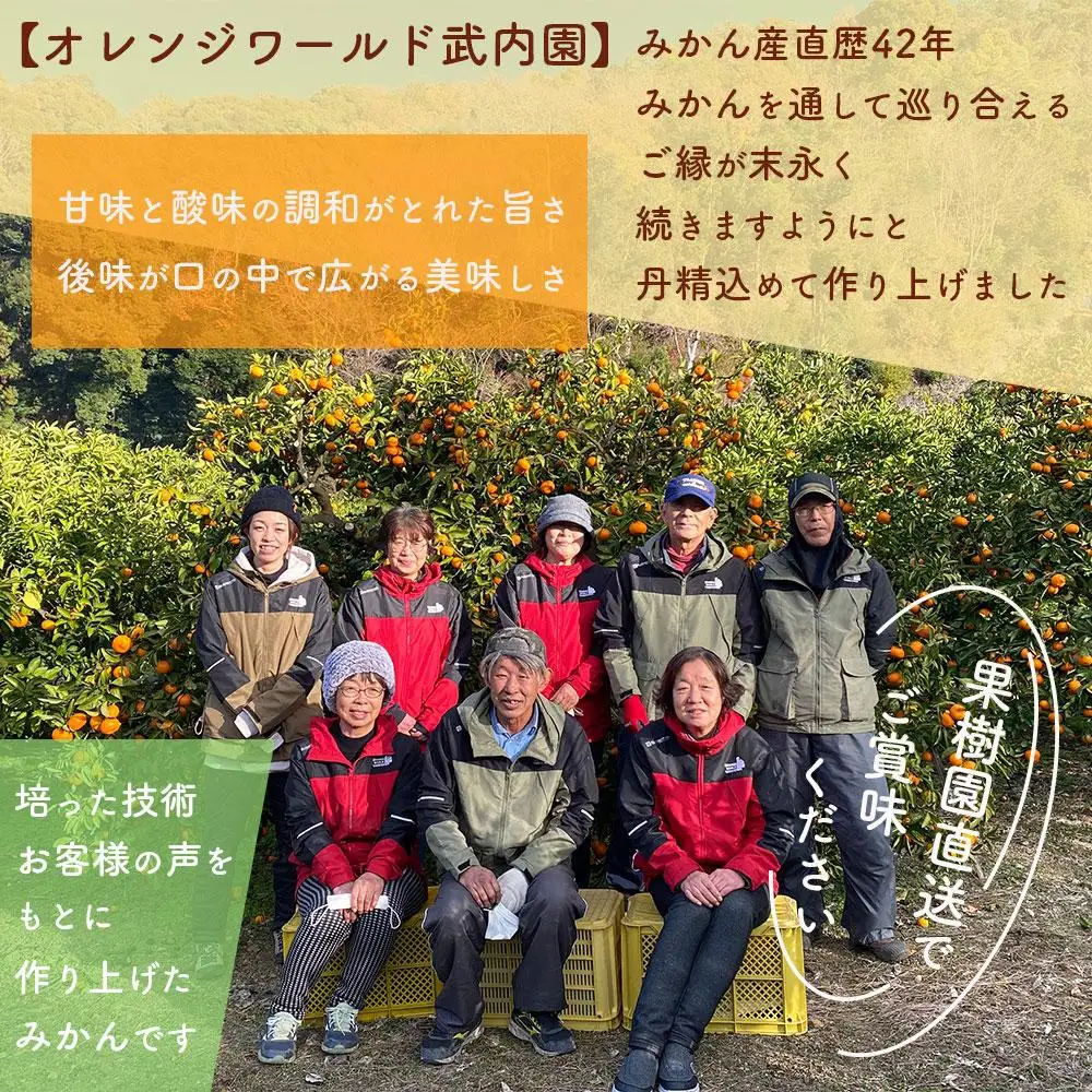 完熟 有田みかん 3kg みかん 甘味凝縮 小粒 産直45年 武内園 先行予約 和歌山県