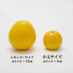 【訳あり】 小玉 美生柑 数量限定 約7kg 愛媛県 愛南町 フルーツアイランド・マルエム直販