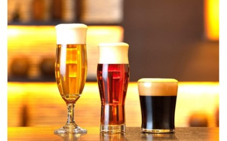 麗人 諏訪浪漫ビール 3種24缶セット / 麗人酒造 諏訪五蔵 日本酒 信州 長野県 諏訪市 諏訪 [37-09]