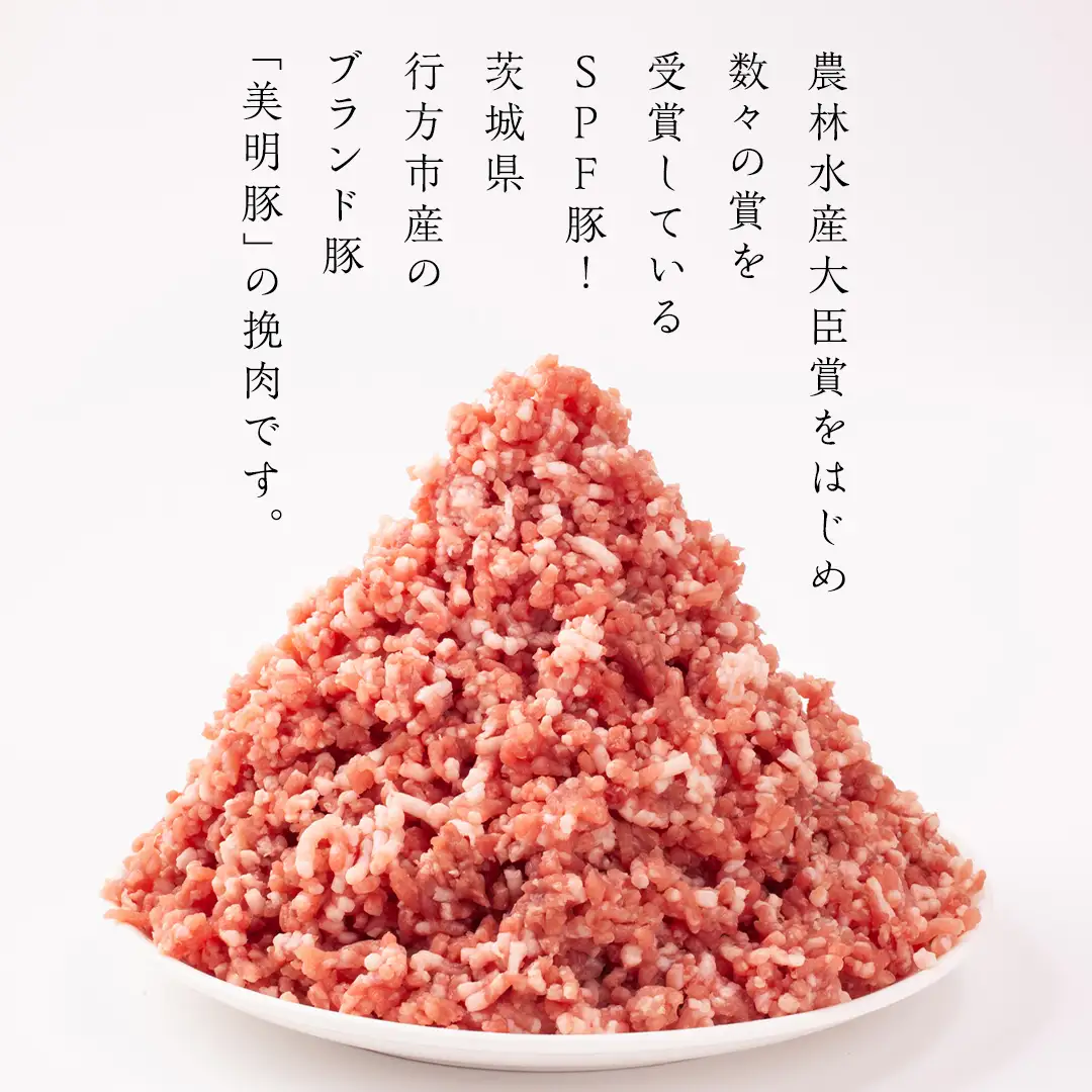 美明豚 挽肉 3kg【茨城県共通返礼品 行方市】 豚肉 国産 銘柄 グルメ 茨城県 料理 ひき肉 ミンチ お肉 肉 豚 ミンチ肉 ブランド豚 冷凍 小分け [CV002sa]