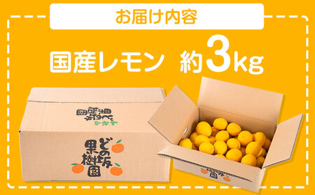 国産レモン 約3kg　レモン