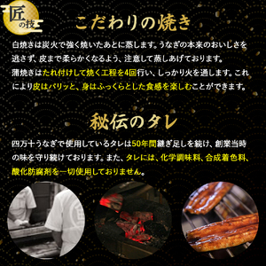 うなぎ蒲焼きカット4袋とうなぎご飯の素セット／Esu-114 うなぎ うなぎ蒲焼 高知うなぎ 国産うなぎ うな重 鰻 国産鰻 高知鰻 冷凍鰻 鰻蒲焼 四万十うなぎ 土用の丑の日 うなぎ蒲焼 うなぎ蒲焼 うなぎ蒲焼 うなぎ蒲焼
