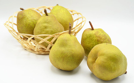 【特秀】山形の極上 ラフランス 特秀品 約5kg(12～16玉)[11月お届け]【令和8年産先行予約】 FS25-780