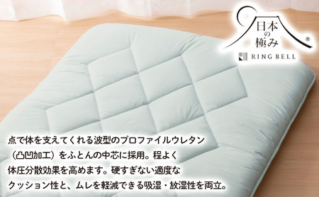 【日本の極み】プロファイル入り 羊毛混敷ふとん 2枚セット  FZ23-347