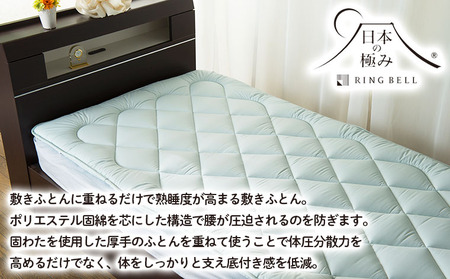 【日本の極み】固わた 敷ふとん(オーバーレイタイプ) 2枚セット FY23-349
