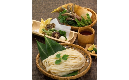 「瀬戸内中讃定住自立圏」うどんの名店食べ比べセット ご当地 半生 純生 うどん 麺 讃岐うどん さぬきうどん 本場 名店 食べ比べ セット 詰合せ めんつゆ つゆ 食品 名産 四国 F5J-778