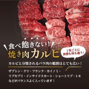 鹿児島県産黒毛和牛焼き肉カルビ K098-001 肉 牛肉 冷凍