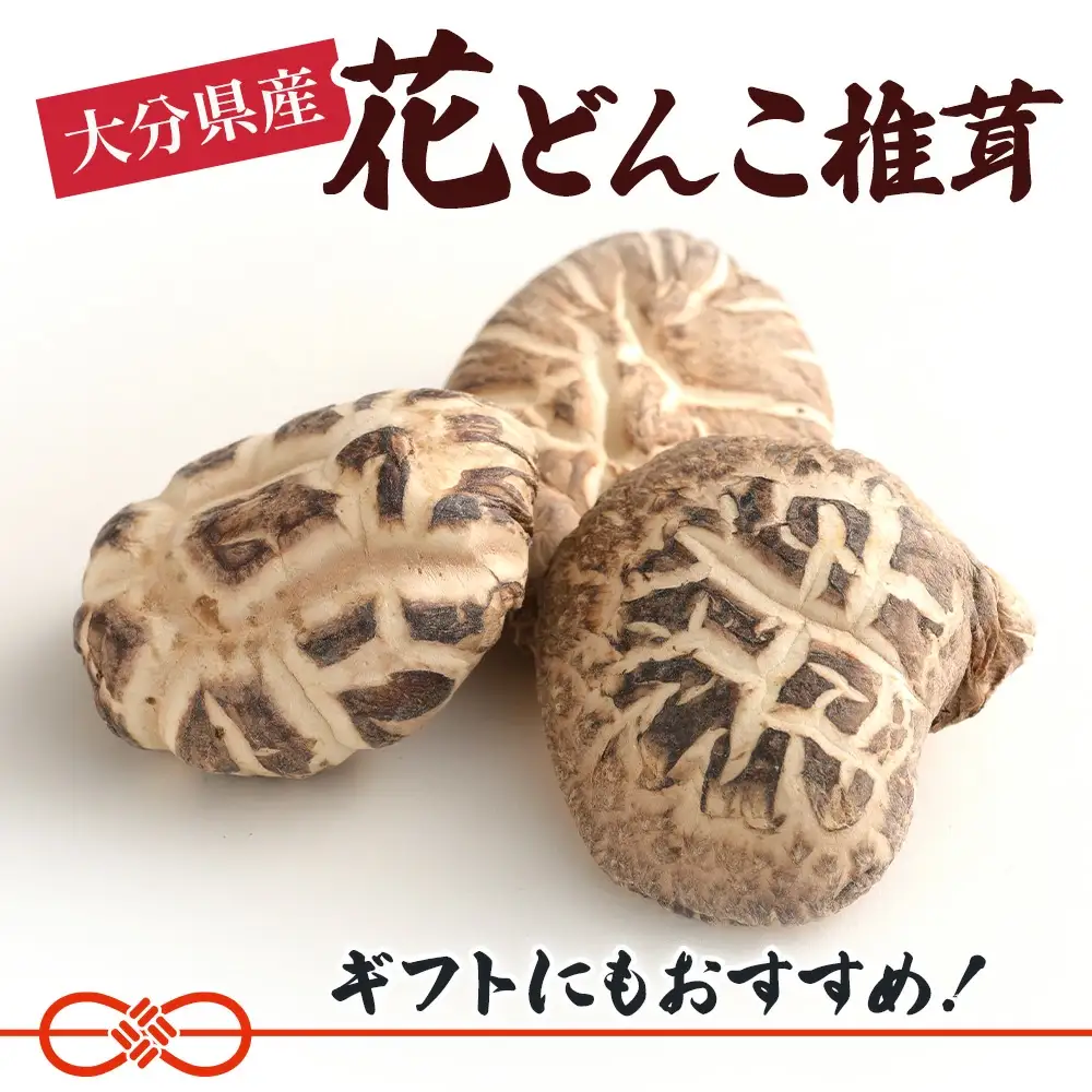 最高級 大分県産 花どんこ椎茸 260g | 津久見市