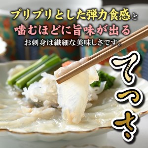 i801 とらふぐ刺身 (２人前) ふぐ フグ 河豚 刺身 刺し身 さしみ ふぐ刺し おもてなし 晩酌 ポン酢 ぽん酢 国産 特別な日に 冷凍【とらふぐ家】