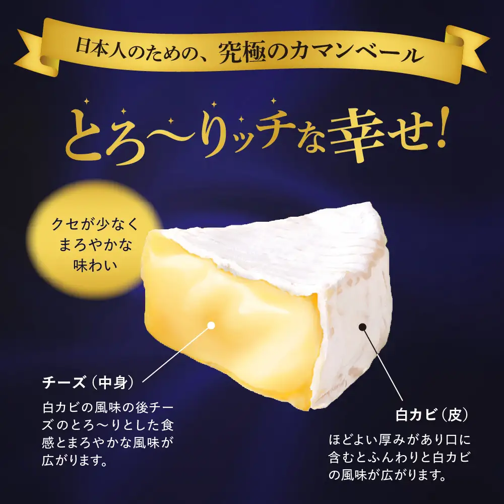  明治 北海道 十勝 チーズ ベスト7 食べ比べセット おつまみ 冷蔵便 詰め合わせ チーズ cheese CHEESE プロセスチーズ ナチュラルチーズ カマンベール ブラックペッパー スライス チェダー パルメザン 粉 乳製品 濃厚 芳醇 お取り寄せ 国産 芽室町me003-064c