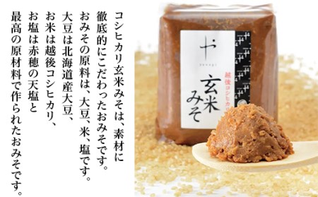 81-11A【隔月6回お届け】コシヒカリ玄米みそ　1kg×2個