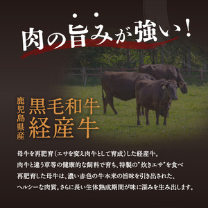 【全6回】黒毛和牛の肉の旨み堪能セット K098-T04 肉 牛肉 冷凍