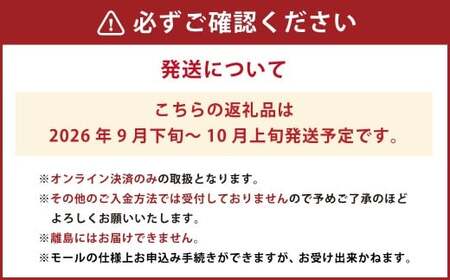 岡山県産新高梨 4～6玉 約3kg【2026年9月下旬～10月上旬まで発送予定】【なし 梨 高梨 フルーツ 人気フルーツ おすすめフルーツ 岡山県 倉敷市】