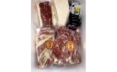 馬刺し 3種セット 600g（大トロ 400g フタエゴ 100g コウネ 100g）タレ 生姜 各4袋付 馬肉