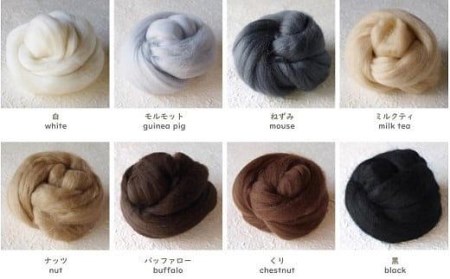 染TAKE　羊毛フェルト30g×８色「シンプル」 // フェルト フェルト８色