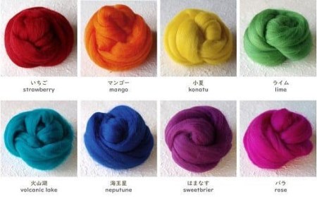 染TAKE　羊毛フェルト30g×８色「ポップ」 // フェルト フェルト９色