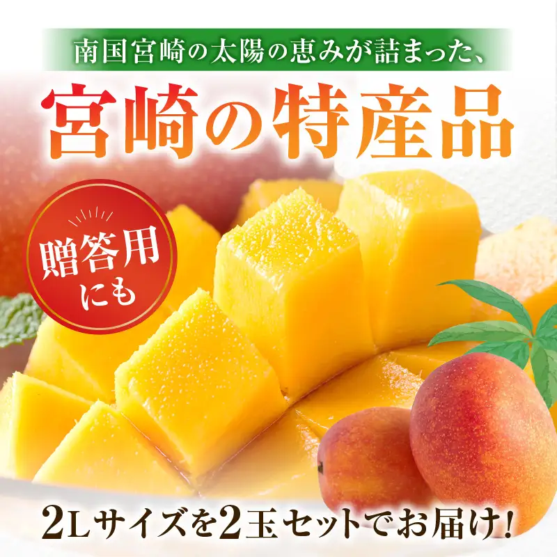 マンゴー 完熟 マンゴー[《2026年発送》【数量・期間限定】 宮崎県産完熟マンゴー 2L×2玉]