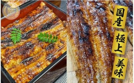 老舗料理屋がお届けする「紀州備長炭で焼き上げた国産鰻蒲焼」長焼き１尾// うなぎ 鰻 ウナギ うなぎウナギ鰻蒲焼 国産うなぎ鰻ウナギ 貝塚市うなぎ鰻ウナギ 老舗料理屋うなぎ鰻ウナギ うなぎ鰻ウナギかば焼き　うなぎ鰻ウナギ