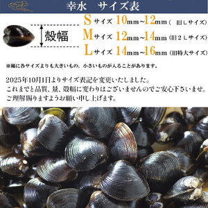 宍道湖産 冷凍しじみ Lサイズ 2kg（200ｇ×10袋)  殻幅14mm～16mm）| しじみ
