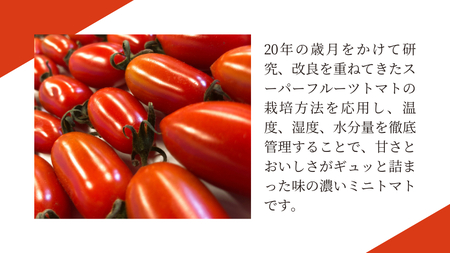 スーパーフルーツ ミニトマト 約1kg 2026年2月上旬発送開始 [BC070sa]