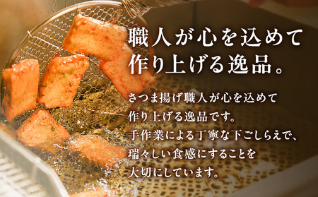 【 10営業日以内に発送 】 さつま揚げ ギフト 清～きよか～ K096-011 スピード配送 最短 すぐ届く お急ぎ
