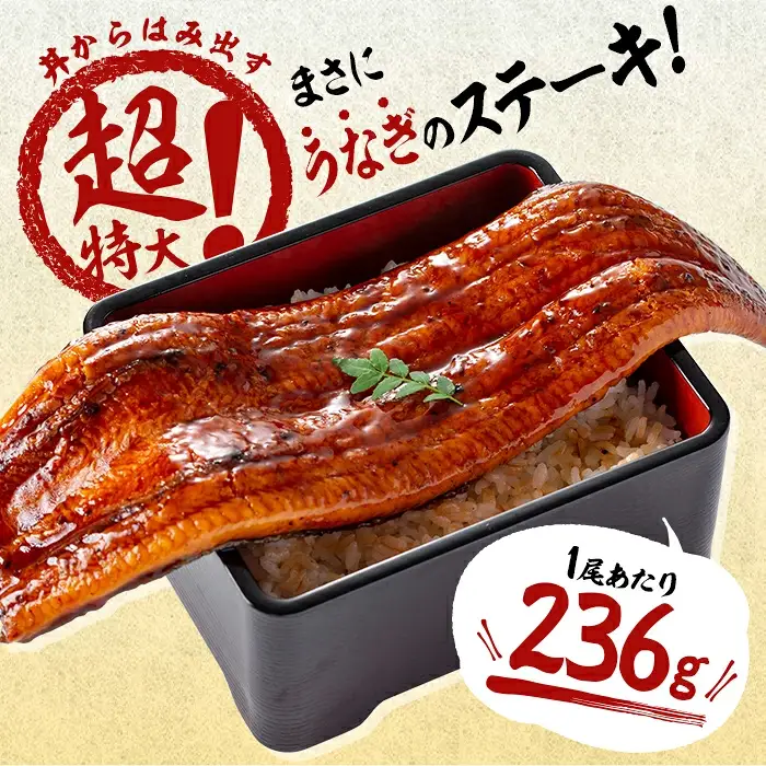 【数量限定】超特大！鹿児島県産 山田水産の霧島湧水鰻(計1400g以上・236g以上×6尾) c5-039-yy