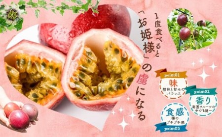 【数量限定】 甑島のパッションフルーツ 青果2.5kg ご自宅用 こしき姫 南国フルーツ 甑島 パッションフルーツ BSR-863