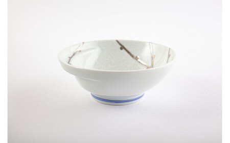 有田焼 其泉 楕円皿 小鉢 樹氷 2点セット【賞美堂本店】器 うつわ 食器 皿 小鉢 ボウル 2枚 多用途 和モダン 冬 季節 自然 贈答 ギフト 電子レンジ対応 食洗機対応 35000円 3.5万円 A35-586