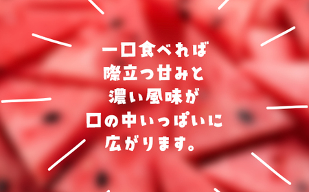 【先行予約】【6月上旬から発送】レッドサンスイカ（約8kg～約9.8kg×1玉）【 ふるさと納税 人気 おすすめ ランキング レッドサン スイカ 西瓜 すいか 西瓜 果物 フルーツ 国産 産地直送 甘い 野菜 千葉県 山武市 送料無料 】SMAF001