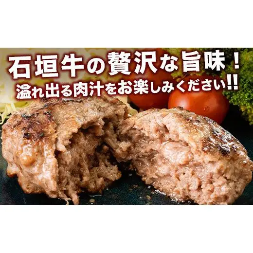 やえやまファームの石垣牛ハンバーグ 6個セット E-27