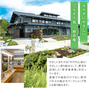 isa426 野草滋養餃子「母の手」(計45個・15個×3P)ギョーザ ぎょうざ 鹿児島 手作り ギョウザ 豚肉 冷凍食品 おかず おつまみ 惣菜 小分け 焼くだけ 簡単調理 冷凍便【やさしいまち】