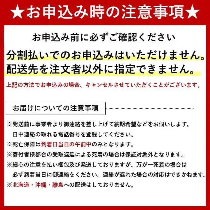 【先行予約】ヘラクレスオオカブトペア（オス130mm～140mm前後・メスフリー）※配送不可地域あり【2026年5月中旬頃より順次発送】