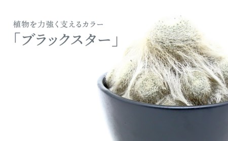 【美濃焼】ブラックスター Plant Hunter Pot【RYOTA AOKI POTTERY/青木良太】/ 陶芸家 プランター インテリア 雑貨 植木鉢 ブラック 黒 芸術 美術品 高級感 おしゃれ 送料無料 [MCH291]