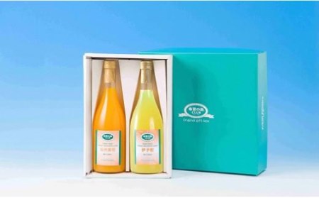 みかんジュース 希望の島 みかんジュース 「丸しぼり果汁」 720mｌ×2本 【FT0021】