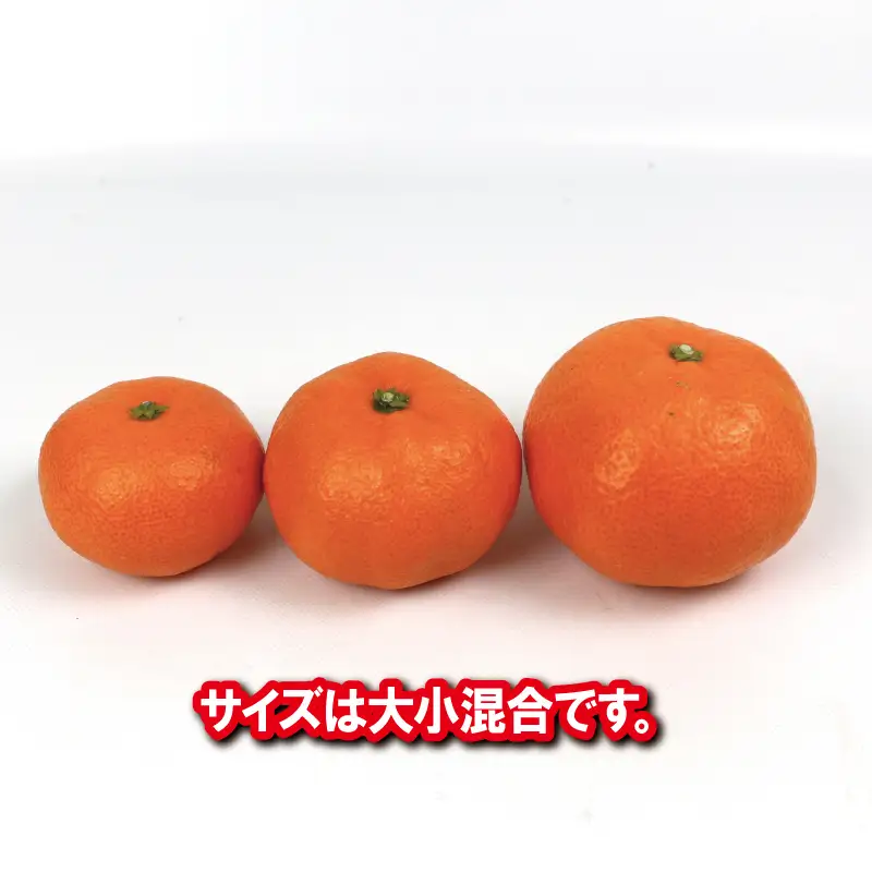 【温州】南柑20号大小混合7kg南四国ファーム温州 B012-035010