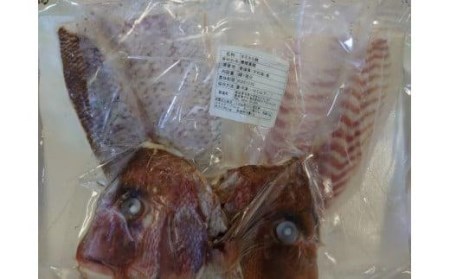 【※2024年1月～発送】愛媛県産養殖真鯛フィレ2枚（お頭付き冷凍）【GK001_x】